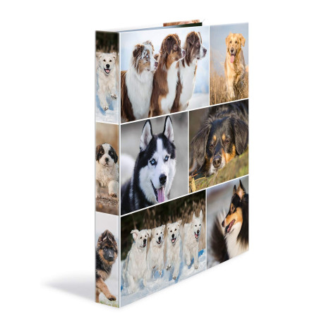 HERMA Classeurs á 2 anneaux A4 Animaux motif chiens, dos de 35 mm, Classeur en carton rigide, Avec compresseur