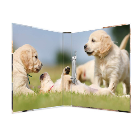 HERMA Classeurs á 2 anneaux A4 Animaux motif chiens, dos de 35 mm, Classeur en carton rigide, Avec compresseur