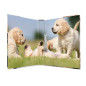 HERMA Classeurs á 2 anneaux A4 Animaux motif chiens, dos de 35 mm, Classeur en carton rigide, Avec compresseur HERMA Classeurs á 2 anneaux A4 Animaux motif chiens, dos de 35 mm, Classeur en carton rigide, Avec compresseur