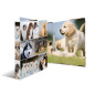 HERMA Classeurs á 2 anneaux A4 Animaux motif chiens, dos de 35 mm, Classeur en carton rigide, Avec compresseur HERMA Classeurs á 2 anneaux A4 Animaux motif chiens, dos de 35 mm, Classeur en carton rigide, Avec compresseur