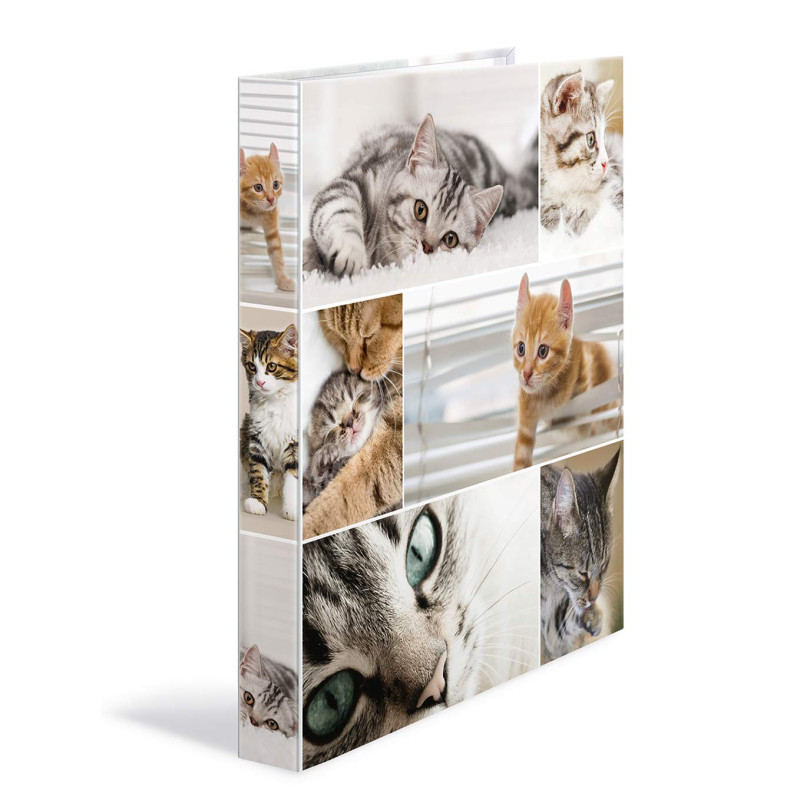 HERMA Classeurs á 2 anneaux A4 Animaux motif chats, dos de 35 mm, Classeur en carton rigide, Avec compresseur HERMA Classeurs á 2 anneaux A4 Animaux motif chats, dos de 35 mm, Classeur en carton rigide, Avec compresseur