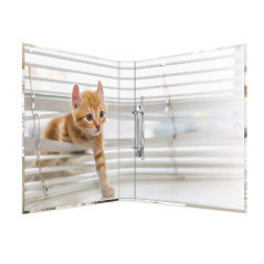 HERMA Classeurs á 2 anneaux A4 Animaux motif chats, dos de 35 mm, Classeur en carton rigide, Avec compresseur