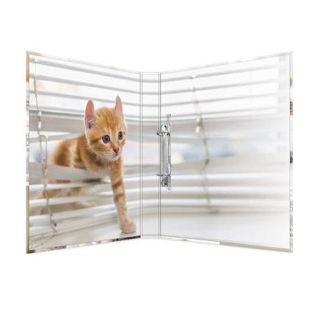 HERMA Classeurs á 2 anneaux A4 Animaux motif chats, dos de 35 mm, Classeur en carton rigide, Avec compresseur
