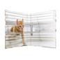 HERMA Classeurs á 2 anneaux A4 Animaux motif chats, dos de 35 mm, Classeur en carton rigide, Avec compresseur HERMA Classeurs á 2 anneaux A4 Animaux motif chats, dos de 35 mm, Classeur en carton rigide, Avec compresseur
