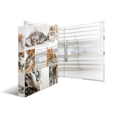 HERMA Classeurs á 2 anneaux A4 Animaux motif chats, dos de 35 mm, Classeur en carton rigide, Avec compresseur