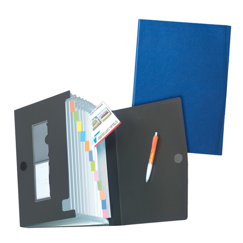 Herlitz 1978048 Classeur à soufflet A4 en plastique avec 12 compartiments (Différents coloris) (Import Allemagne) Herlitz 1978048 Classeur à soufflet A4 en plastique avec 12 compartiments (Différents coloris) (Import Allemagne)