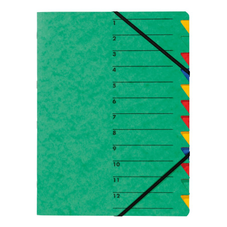 Pagna 24131-03 Trieur A4 Easy en carton avec 12 onglets colorés (Vert)