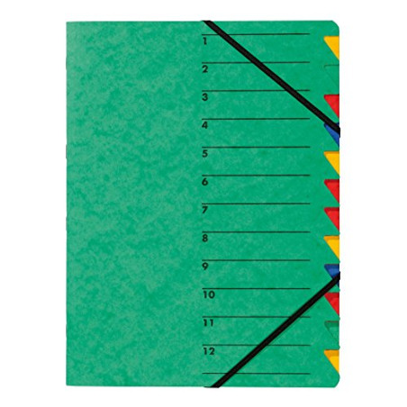 Pagna 24131-03 Trieur A4 Easy en carton avec 12 onglets colorés (Vert)