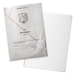 Durable 213119 Etui Souple de Protection pour Document Format A4 210 x 297 mm Sachet de 10