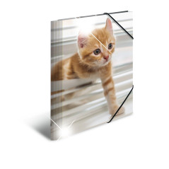 HERMA 19328 Chemise format A4 en plastique solide avec effet brillant et rabats intérieurs imprimés