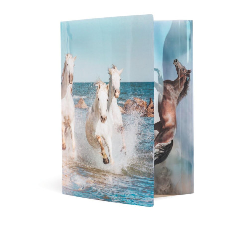 HERMA 19329 Classeur DIN A4 en plastique solide avec effet brillant et rabats intérieurs imprimés, reliure élastique pour les co