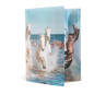 HERMA 19329 Classeur DIN A4 en plastique solide avec effet brillant et rabats intérieurs imprimés, reliure élastique pour les co HERMA 19329 Classeur DIN A4 en plastique solide avec effet brillant et rabats intérieurs imprimés, reliure élastique pour les co
