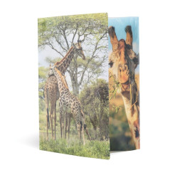 Herma 19332 brillant Chemise DIN A3 plastique, série animaux motif girafe, Impression à dessin avec chemise en caoutchouc, avec