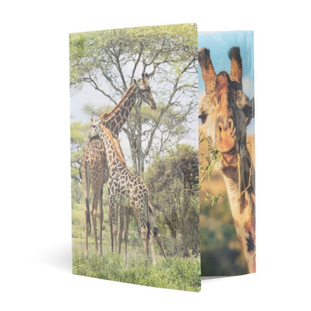 Herma 19332 brillant Chemise DIN A3 plastique, série animaux motif girafe, Impression à dessin avec chemise en caoutchouc, avec