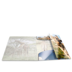 Herma 19332 brillant Chemise DIN A3 plastique, série animaux motif girafe, Impression à dessin avec chemise en caoutchouc, avec 