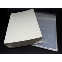 docsmagic.de 100 Current Size Resealable Comic Bags + Backing Boards - Combo Pack 174 x 266 mm