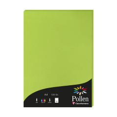 Clairefontaine 4215C - Étui de 50 Feuilles - Format A4 (21x29,7cm) - 120g/m² - Coloris Vert Menthe - Papier d'Invitation Evèneme