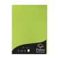 Clairefontaine 4215C - Étui de 50 Feuilles - Format A4 (21x29,7cm) - 120g/m² - Coloris Vert Menthe - Papier d'Invitation Evèneme Clairefontaine 4215C - Étui de 50 Feuilles - Format A4 (21x29,7cm) - 120g/m² - Coloris Vert Menthe - Papier d'Invitation Evèneme