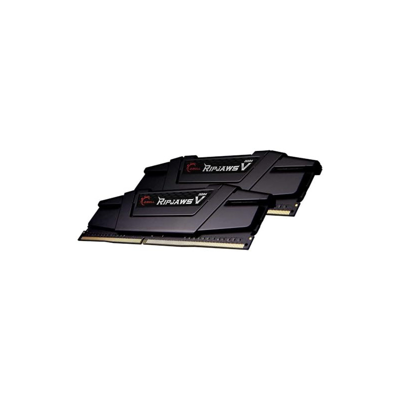 G.Skill Ripjaws V F4-3600C18D-16GVK Module de mémoire 16 Go 2 x 8 Go DDR4 3600 MHz Noir