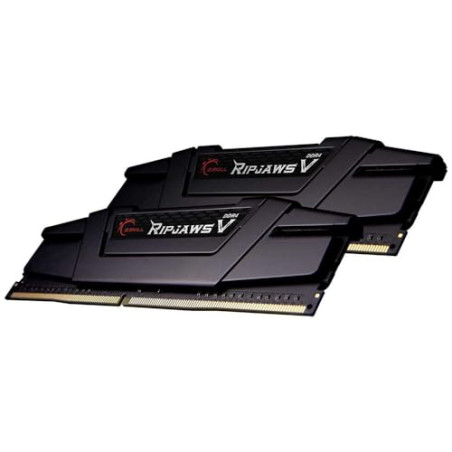 G.Skill Ripjaws V F4-3600C18D-16GVK Module de mémoire 16 Go 2 x 8 Go DDR4 3600 MHz Noir