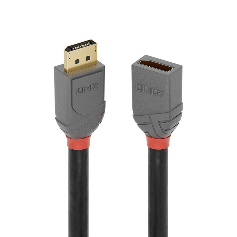 LINDY Rallonge DisplayPort Anthra Line, 3m LINDY Rallonge DisplayPort Anthra Line, 3m