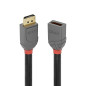LINDY Rallonge DisplayPort Anthra Line, 3m LINDY Rallonge DisplayPort Anthra Line, 3m