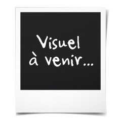 Canon CL-38 Cartouche Couleur (Emballage carton)