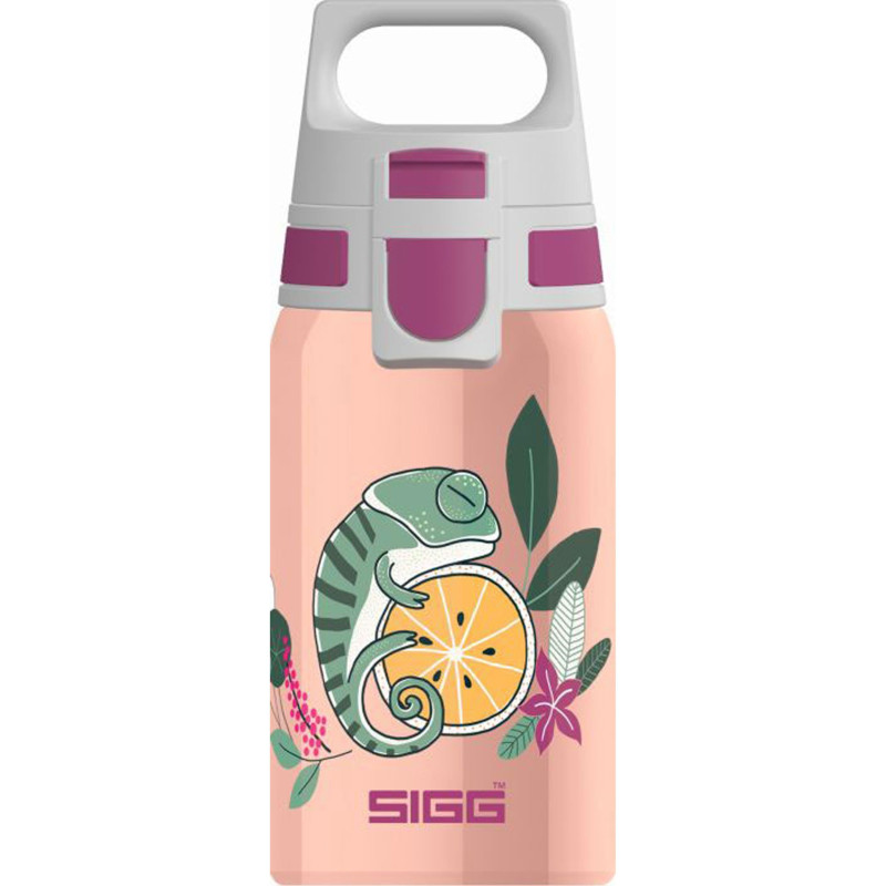 Sigg - Gourde Enfant En Acier Inoxydable - Shield One Flora - Pour l'École et le Sport - Convient Aux Boissons Gazeuses - Étanch Sigg - Gourde Enfant En Acier Inoxydable - Shield One Flora - Pour l'École et le Sport - Convient Aux Boissons Gazeuses - Étanch