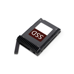 ICY DOCK Tiroir, Plateau, Caddy de Disque Dur 2,5" SATA/SAS pour MB741SP-B - ExpressCage MB741TP-B