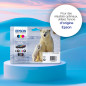 Epson 26XL Polar Bear Cyan High Yield Genuine, Claria Premium Ink Cartridge,XL High Capacity Epson 26XL Polar Bear Cyan High Yield Genuine, Claria Premium Ink Cartridge,XL High Capacity