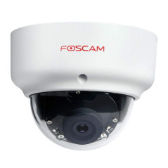 Foscam D2EP caméra de sécurité Caméra de sécurité IP Intérieure et extérieure Dôme 1920 x 1080 Pixels Plafond/Mur