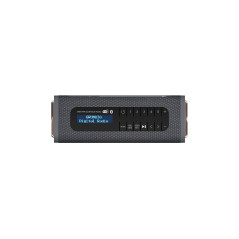 Grundig GBT Band Black - Haut-parleur Bluetooth avec radio DAB+ et FM, portée de 30 mètres, plus de 8 heures de lecture, batteri