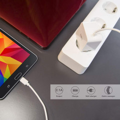 aiino - Chargeur Mural pour tous les Téléphones Portables et Smartphones avec Fonction de Chargement USB, Ordinateur Portable 2A