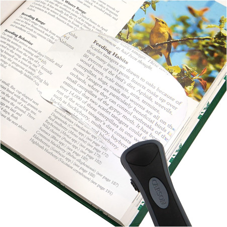 Carson Rectangle RimFree loupe sans monture en format rectangulaire, grossissement de 2x, avec fonction éclairage par LED (RM-77