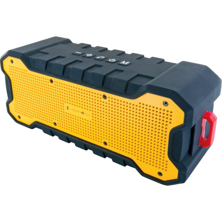 SCHWAIGER -WKLS100 511- Haut-Parleur Bluetooth | connecteur auxiliaire | Fonction TWS | Batterie | qualité sonore Pure | Haut-Pa