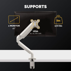 Fellowes Bras Porte Ecrans Platinum Series Simple Support Moniteur Jusqu'à 32", Hauteur Ajustable, Norme VESA, 2 Ports USB, Arge