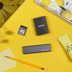 Transcend CFE820 Carte mémoire CFexpress Type B 256GB - TS256GCFE820