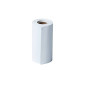 BROTHER BDE-1J000057-030 57MM Receipt Continuous 30MM OD MOQ 48
