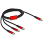 DeLOCK 86713 câble USB 1 m USB 2.0 USB C Noir, Rouge