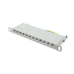 Good Connections Panneau de Brassage - 10" - Montage sur Serveur/Rack - Catégorie 6A, 500 MHz - Compatible 10 Gigabit - 12 Ports