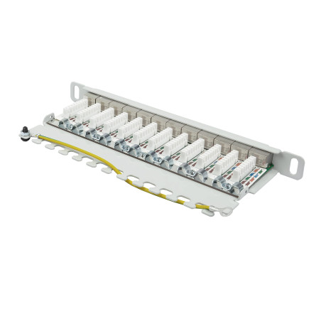 Good Connections Panneau de Brassage - 10" - Montage sur Serveur/Rack - Catégorie 6A, 500 MHz - Compatible 10 Gigabit - 12 Ports