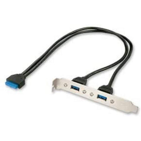 LINDY Adaptateur Slot USB 3.0, 2 x USB 3.0 Prises Type A
