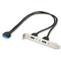 LINDY Adaptateur Slot USB 3.0, 2 x USB 3.0 Prises Type A LINDY Adaptateur Slot USB 3.0, 2 x USB 3.0 Prises Type A