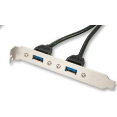 LINDY Adaptateur Slot USB 3.0, 2 x USB 3.0 Prises Type A