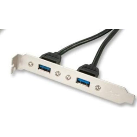 LINDY Adaptateur Slot USB 3.0, 2 x USB 3.0 Prises Type A