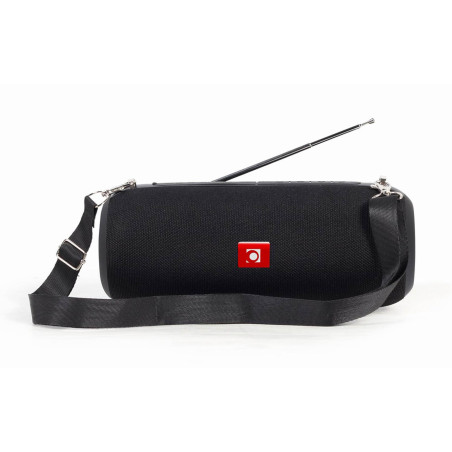 Gembird Haut-Parleur Bluetooth Portable avec Antenne, Enceinte sans Fil Rechargeable, Son Puissant, Radio FM, Autonomie Longue,