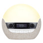 Lumie Bodyclock Luxe - 700FM Réveil Lumie avec FM Radio Enceinte Bluetooth Lumière Bleu Faible pour Sommeil Lumie Bodyclock Luxe - 700FM Réveil Lumie avec FM Radio Enceinte Bluetooth Lumière Bleu Faible pour Sommeil