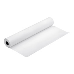 Epson Premium Luster Photo Paper (260) Papier photo lustré Rouleau (30 cm x 30,5 m) 1 rouleau