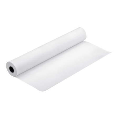 Epson Premium Luster Photo Paper (260) Papier photo lustré Rouleau (30 cm x 30,5 m) 1 rouleau