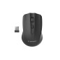Gembird Souris Optique sans Fil 4 Boutons avec Récepteur Nano USB, Noir - DPI Ajustable 800/1200/1600, Ergonomique, Portable, Lo Gembird Souris Optique sans Fil 4 Boutons avec Récepteur Nano USB, Noir - DPI Ajustable 800/1200/1600, Ergonomique, Portable, Lo